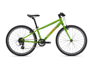 Ülikerge laste jalgratas GIANT ARX 24, Metallic Green