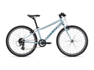 Ülikerge laste jalgratas GIANT ARX 24, Soap Suds