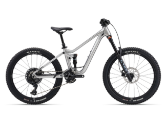 Laste jalgratas GIANT Faith 24, Raw Aluminium