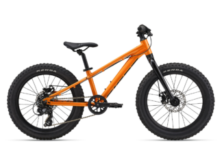 Laste jalgratas GIANT STP 20, Sandstorm