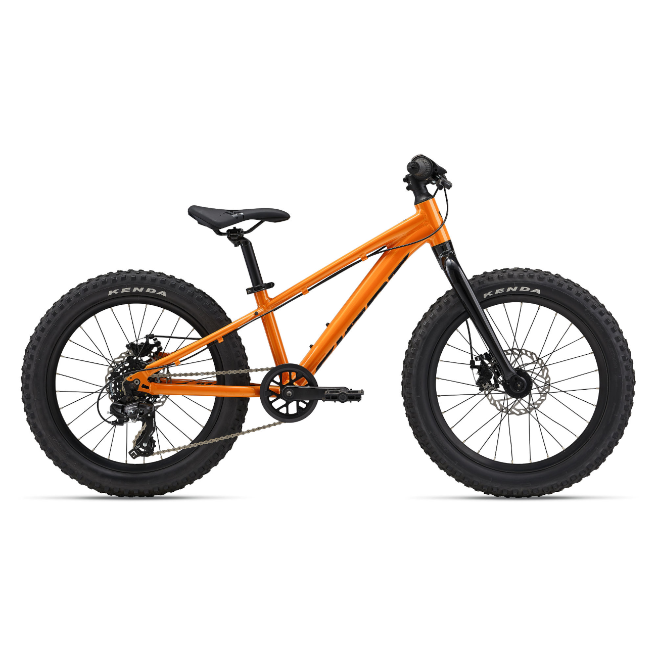 Laste jalgratas GIANT STP 20, Sandstorm