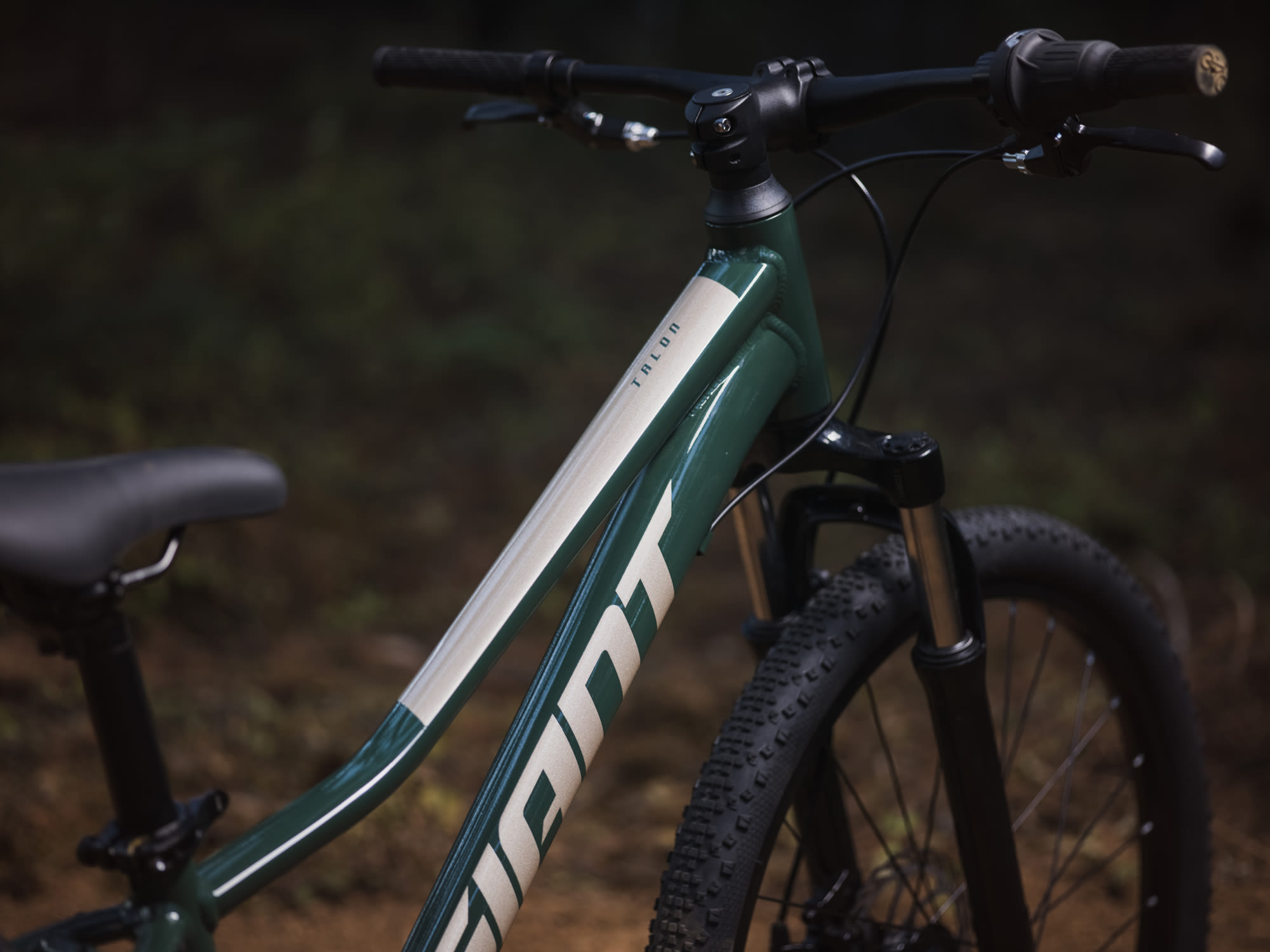 Laste jalgratas GIANT Talon 24, Trekking Green - Image 11