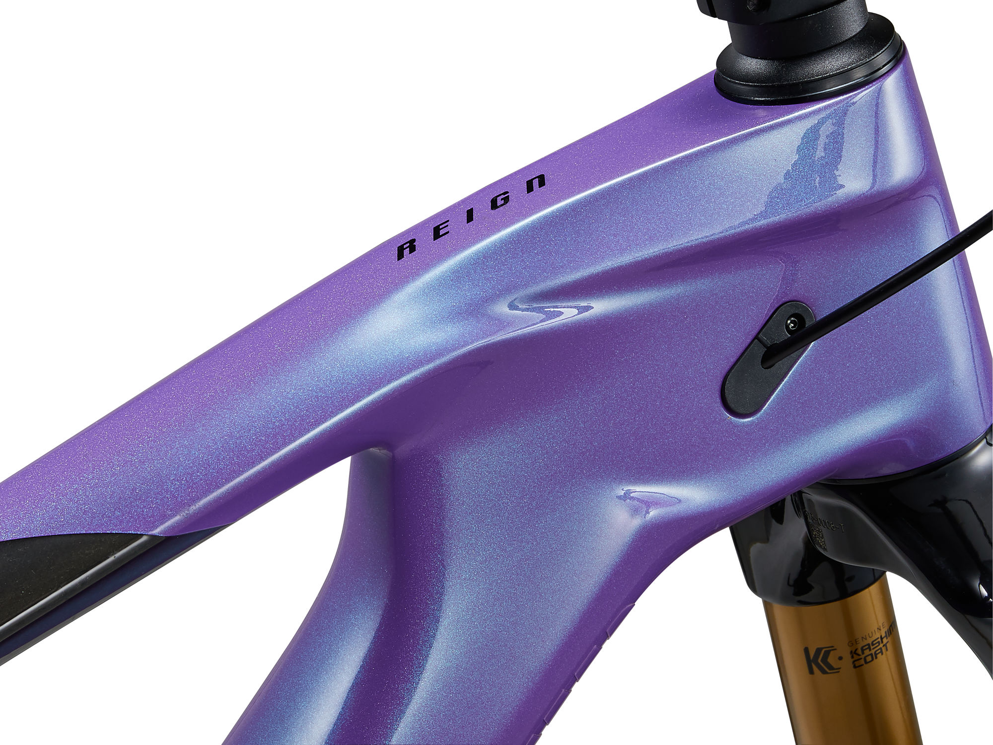 Maastikuratas GIANT Reign Advanced 1, 29" Digital Blurple (S) - Image 10