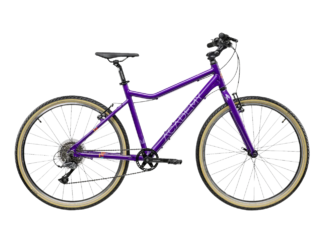 Ülikerge noorte jalgratas ACADEMY Grade 6, 26" Purple